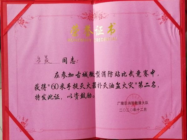 朱晨个人获奖荣誉